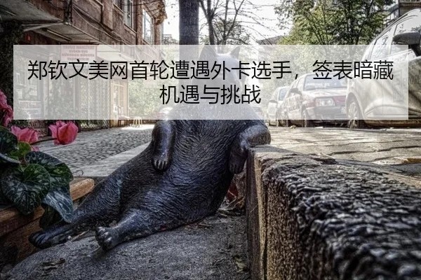 zheng-qin-wen-mei-wang-shou-lun-zao-yu-wai-ka-xuan-shou-qian-biao-an-cang-ji-yu-yu-tiao-zhan-3-726.jpg