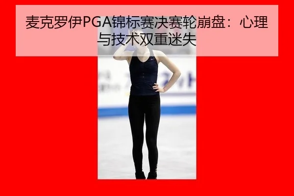 mai-ke-luo-yi-jin-biao-sai-jue-sai-lun-beng-pan-xin-li-yu-ji-shu-shuang-chong-mi-shi-3-431.jpg