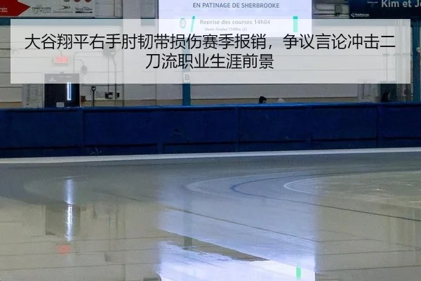da-gu-xiang-ping-you-shou-zhou-ren-dai-sun-shang-sai-ji-bao-xiao-zheng-yi-yan-lun-chong-ji-er-dao-liu-zhi-ye-sheng-ya-3-551.jpg