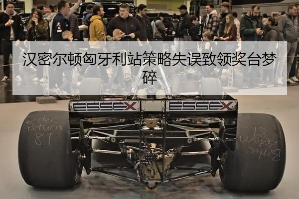han-mi-er-dun-xiong-ya-li-zhan-ce-lve-shi-wu-zhi-ling-jiang-tai-meng-sui-2-734.jpg