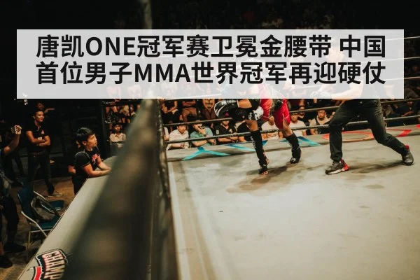 MMA championship belt