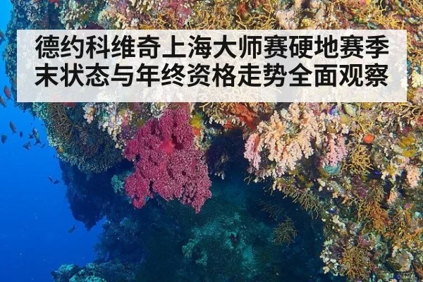 德约科维奇上海大师赛硬地赛季末状态与年终资格走势全面观察